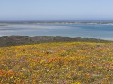 Seeburg pano-2