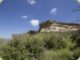 Buttress-6