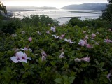 Wes_45 - Knysna heads