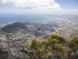 Wes_60 - View from Table Mountain