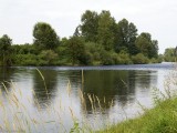 Springfield_ 504 - MacKenzie River