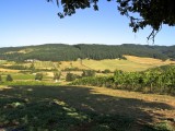 Springfield_ 546 - one of the many winefarms around Eugene and Springfield in Oregon