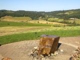 Springfield_ 557 - one of the many winefarms around Eugene and Springfield in Oregon