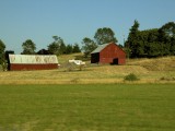 Springfield_ 561 - a farm near Springfield