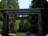 Mt Rainier_ 200